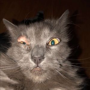 Meet your Posher, Jack